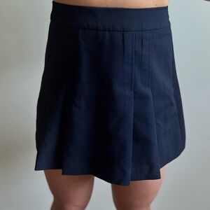 Zara Blue Pleated Skirt
